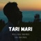 Tari Mari (feat. Hansil Mehta) - Varad Mehta lyrics