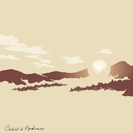 Distant Casiio & Nokiaa