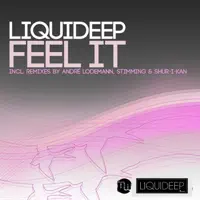 Feel it (Shur — Liquideep