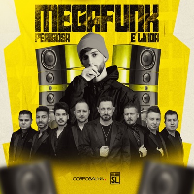 Mega Funk Perigosa e Linda (Remix) - Single