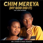 Chim Mereya (My God Did It) [feat. Odigi Wonder] - Single