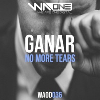 No More Tears (Extended Mix) - Single - Ryan Ganar