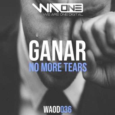 No More Tears (Extended Mix) - Single