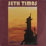 Seth Timbs - Beautiful from a Distance