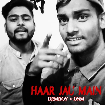 Haar Jau Main (feat. Dnm) - Single