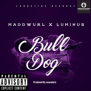 Bull Dog (feat. Luminus) - Single