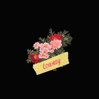 Lowkey - Single