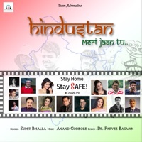 Hindustan Meri Jaan Tu - Single - Anand Godbole, Sumit Bhalla & Dr. Parvez Bagwan