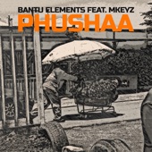 Pushaa (feat. Mkeyz) artwork