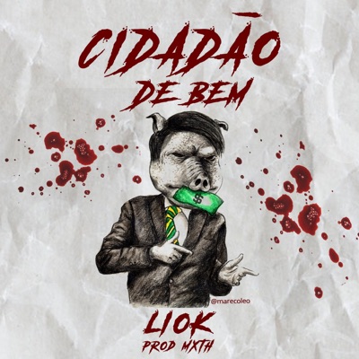 Cidadão de Bem (feat. Geld Mob) - Single