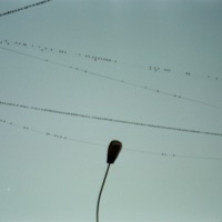 Как найти - Single - АСТМО & Амак