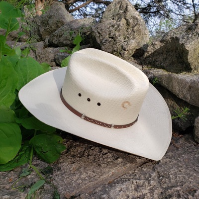 Tennessee Whiskey - Single