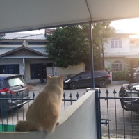 Sunshine - Single - Ghidd