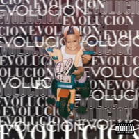 Evolucion - Neto Transa