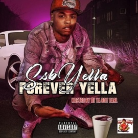 Act Up (feat. Codean, Bossman Beezie & Ssb Pip) SSB Yella