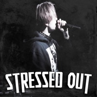 Stressed OUT! - Single - Lunchbagg