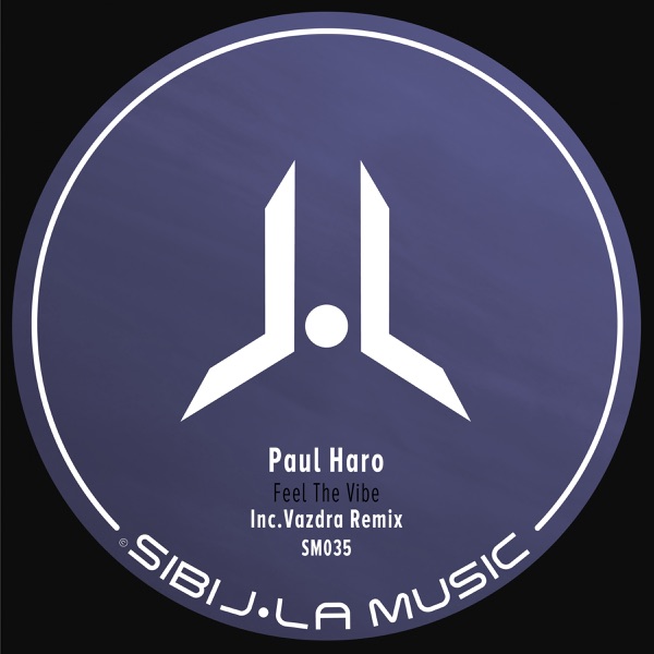 Feel the Vibe - EP