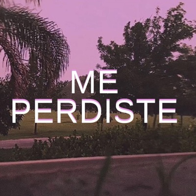 Me Perdiste - Single