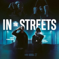 In the Streets (feat. GGO Kurt) - Single - Vinc The Don