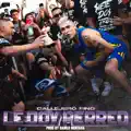 CALLEJERO FINO