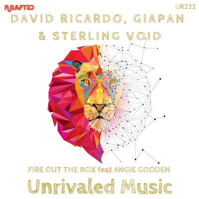 Fire Out the Box - Single