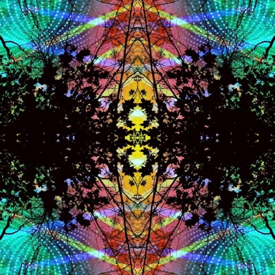 Lost in the Jungle - Single