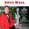 Wild Rose - Tony Wall lyrics