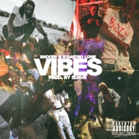 Vibes (feat. Gastro Lowe) - Single - Smoody B