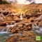 Relaxing Mountain Water Stream artwork