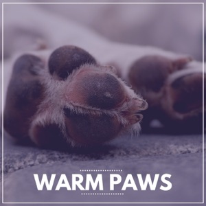 Warm Paws