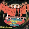 La Fuerza Del Amor - la tablita