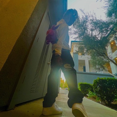 2muchbass (feat. Aqua Raps & Slayer77) - Single