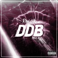 Ddb - Single - Panchi