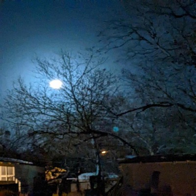 Sleeping Beauty - Single