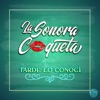 tarde lo Conoci