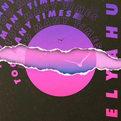 Too Many Times - Single