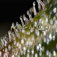 Nasiiilu - Single - Robis Hood