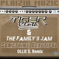 Something Beautiful - Single - Tiger Cloth, The Family's Jam & Filippo Perbellini