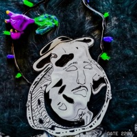 Gate 2200 - Single - Mick C