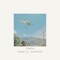 Turtle - Ahead of Ourselves lyrics