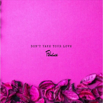 Don't Take Your Love - Single