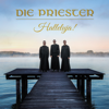 Halleluja! - Die Priester new Song