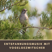 Entspannungsmusik mit Vogelgezwitscher – Klänge der Natur um Sich zu Erholen - Erste Genesis