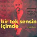 Bir Tek Sensin Icimde