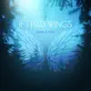 If I Had Wings