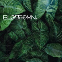 Susurrus - Single - Blossomn