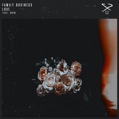 Family Business (feat. Bryn) - Single