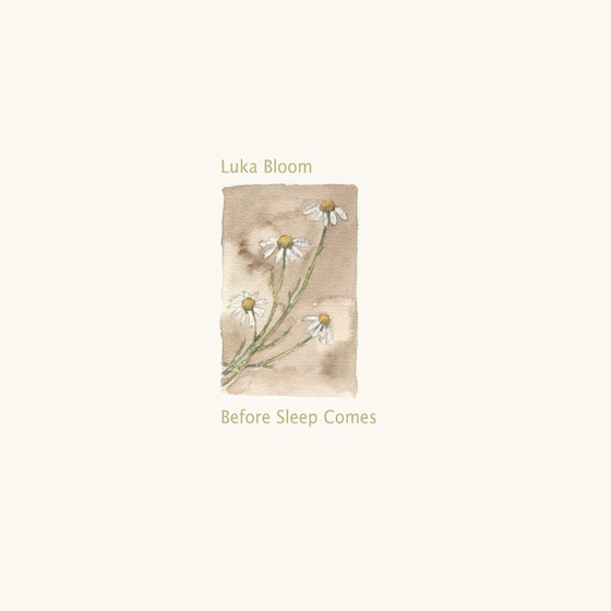 Cover artwork for Camomile