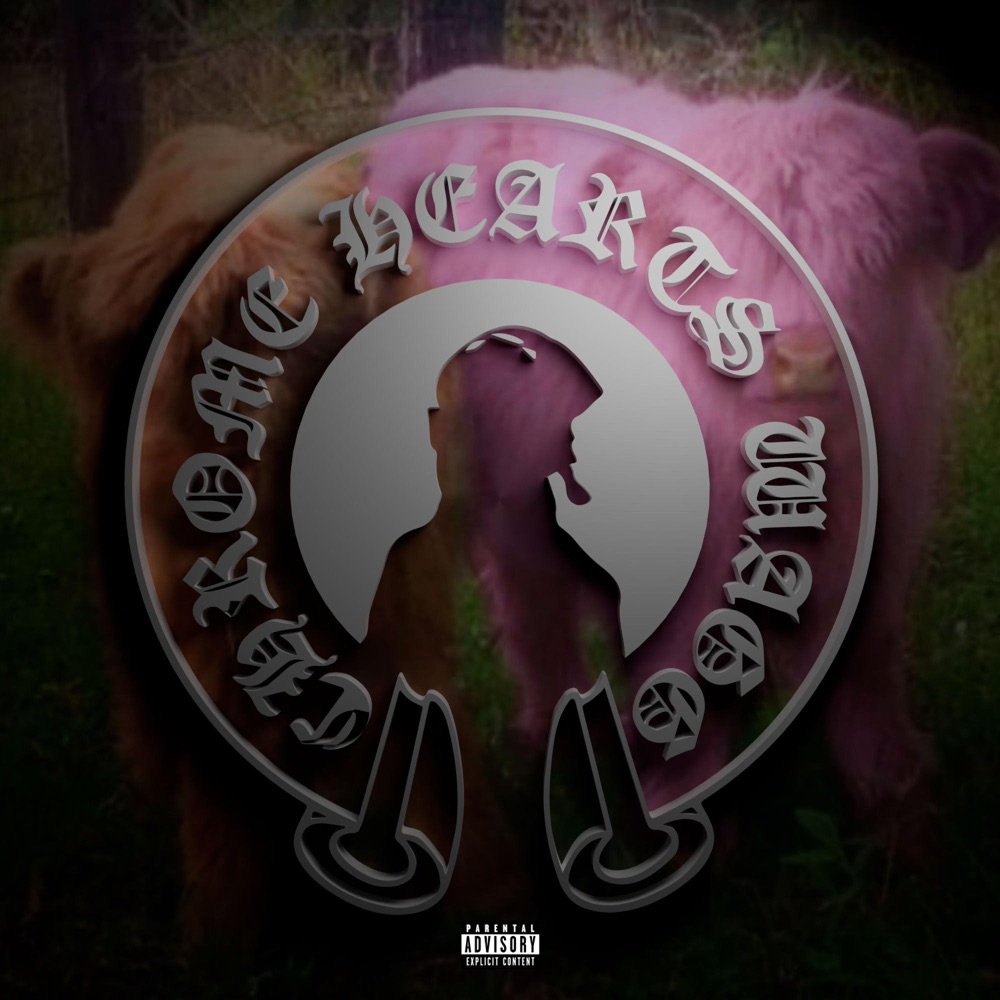 Обложка альбома «#вдмв (feat. LiL Flash$) - Single» — WAGGONKID