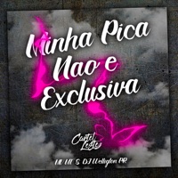 Minha Pica Não e Exclusiva (Mega Funk) - Single - MC MT & DJ Welligton PR